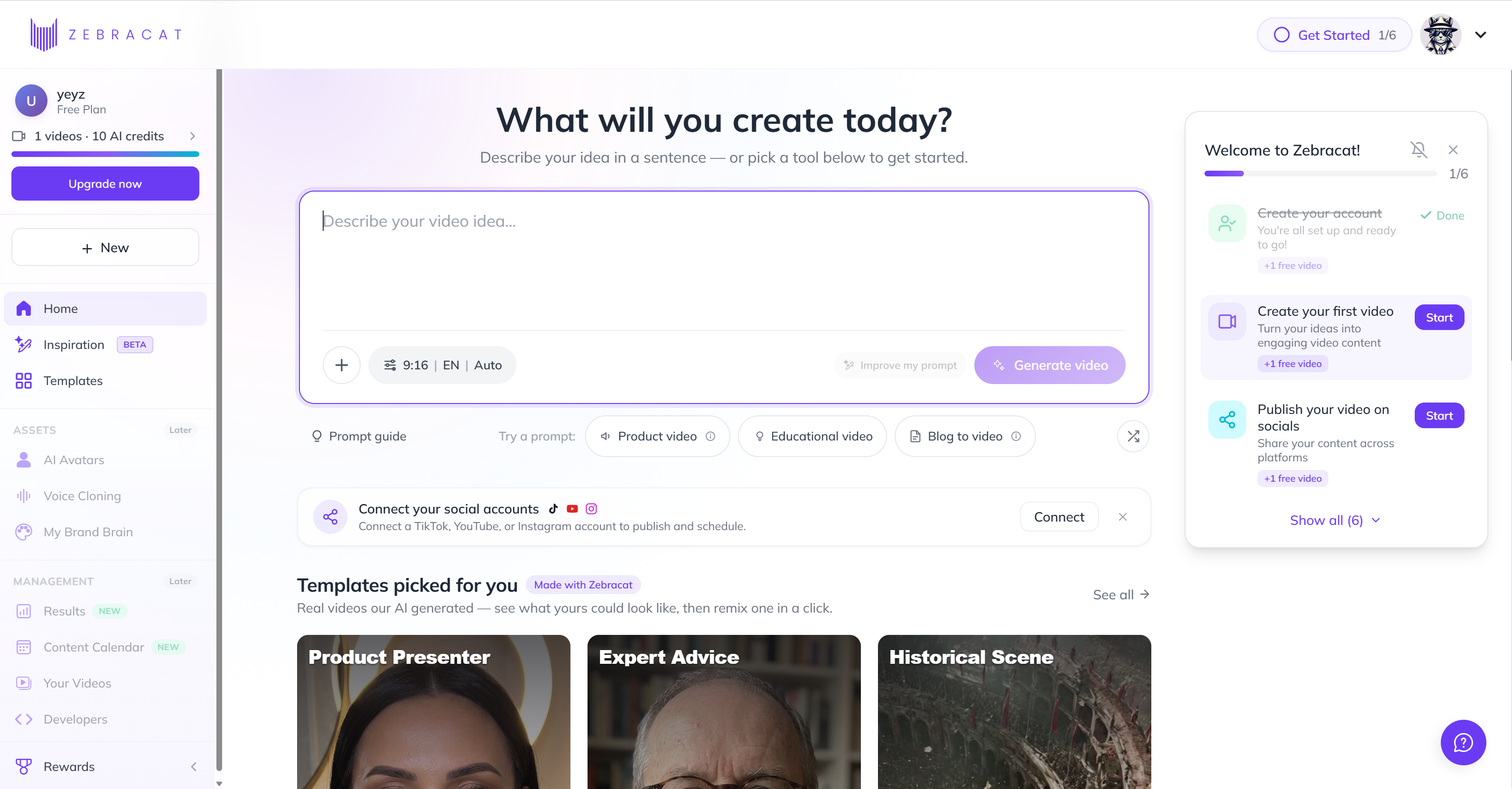 Zebracat workspace dashboard
